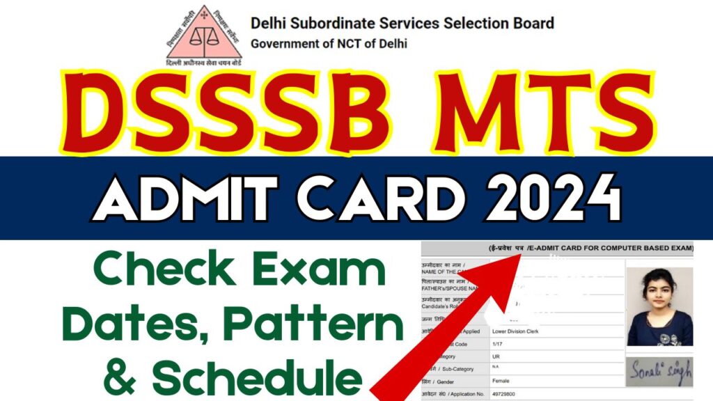 DSSSB MTS Admit Card 2024