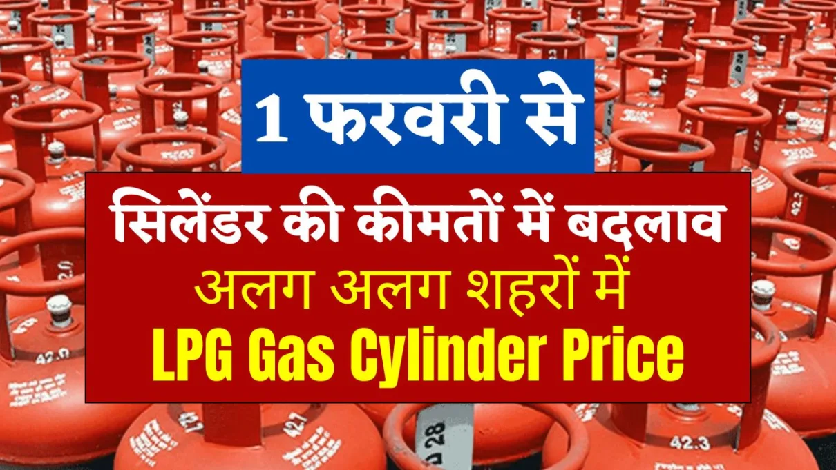 Feb 2025 LPG Gas Cylinder Price