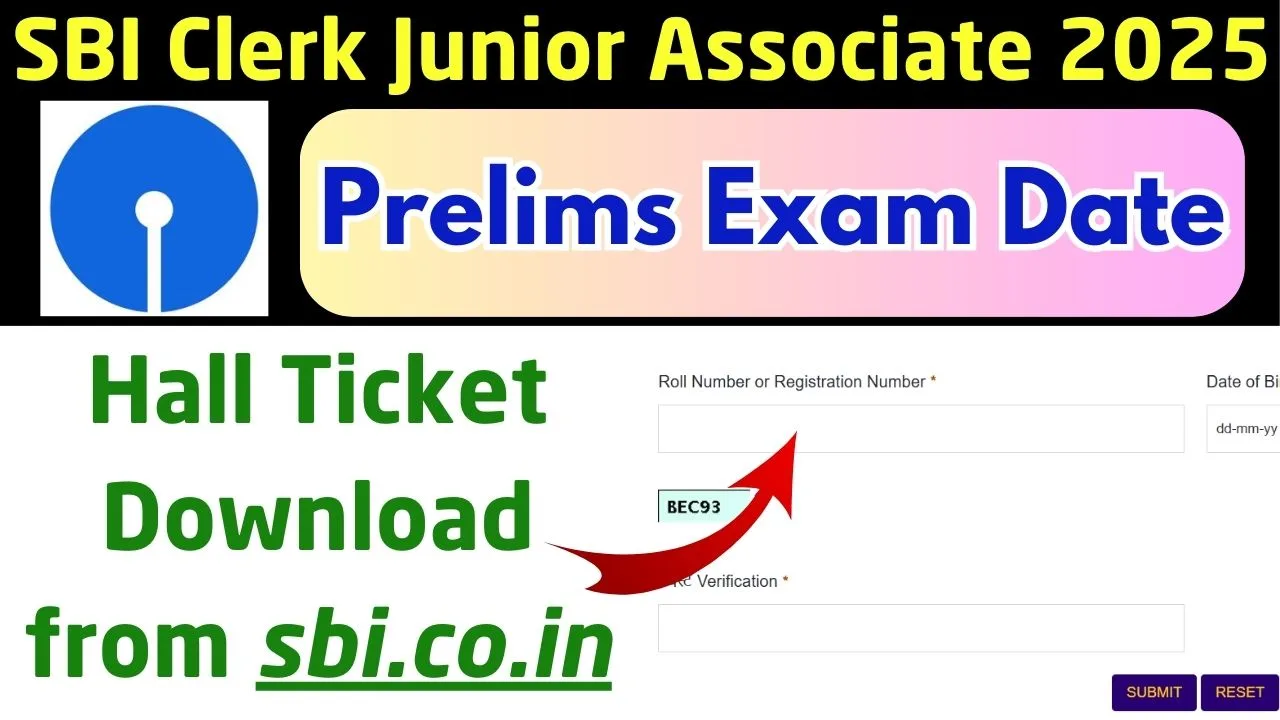 SBI Clerk Prelims Hall Ticket 2025