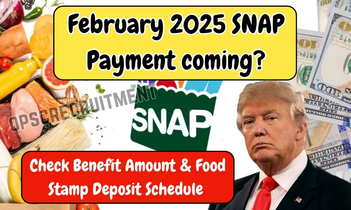 February 2025 SNAP Payment coming?